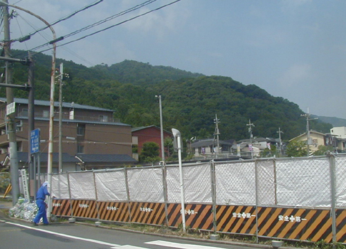 d0053294_2481256.jpg