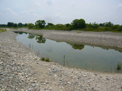 c0024502_17571227.jpg