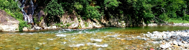 f0266202_5534753.jpg