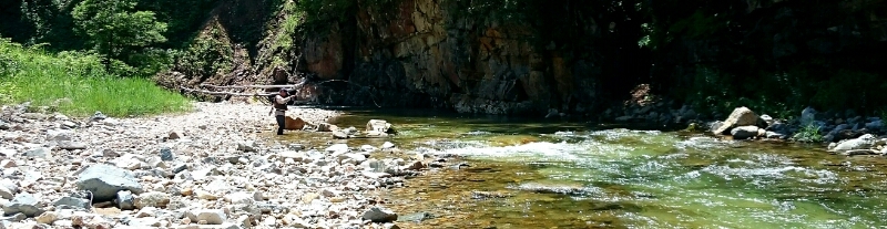 f0266202_557397.jpg