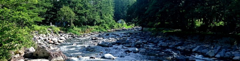 f0266202_5581542.jpg