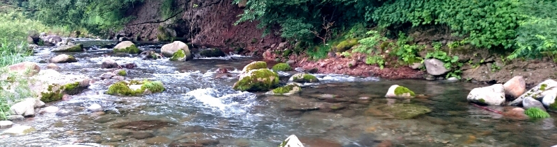 f0266202_559547.jpg