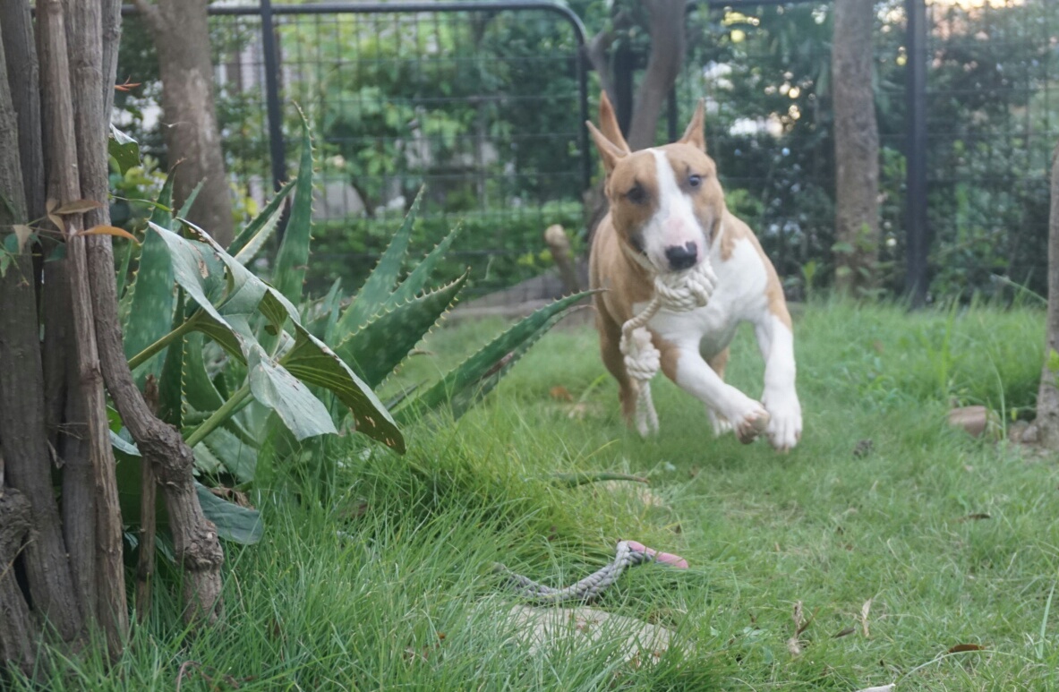 f0353904_2012454.jpg