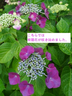 b0200310_2226210.jpg
