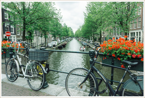 a0115011_1181134.jpg