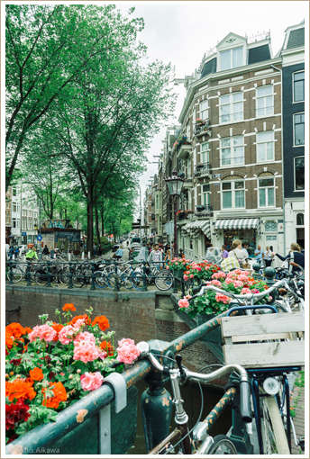a0115011_121136.jpg