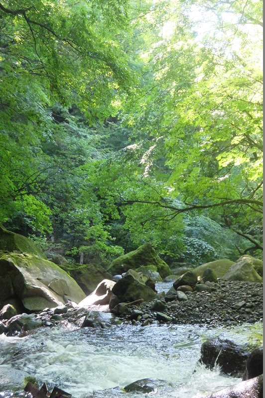 b0207615_21565170.jpg