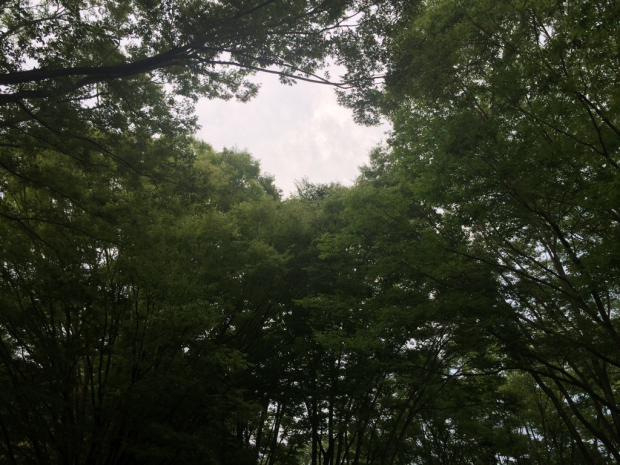 e0337718_22494921.jpg
