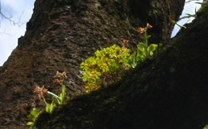f0193521_4482826.jpg