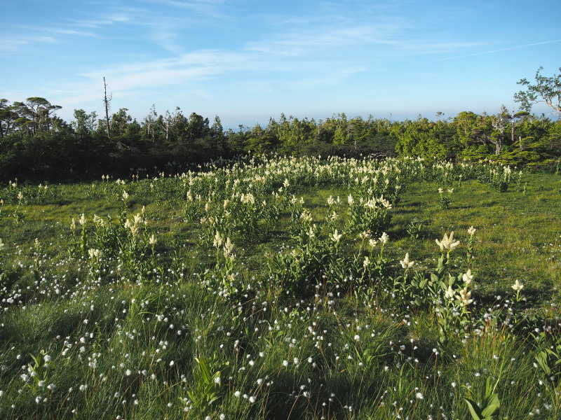 f0330321_11282844.jpg
