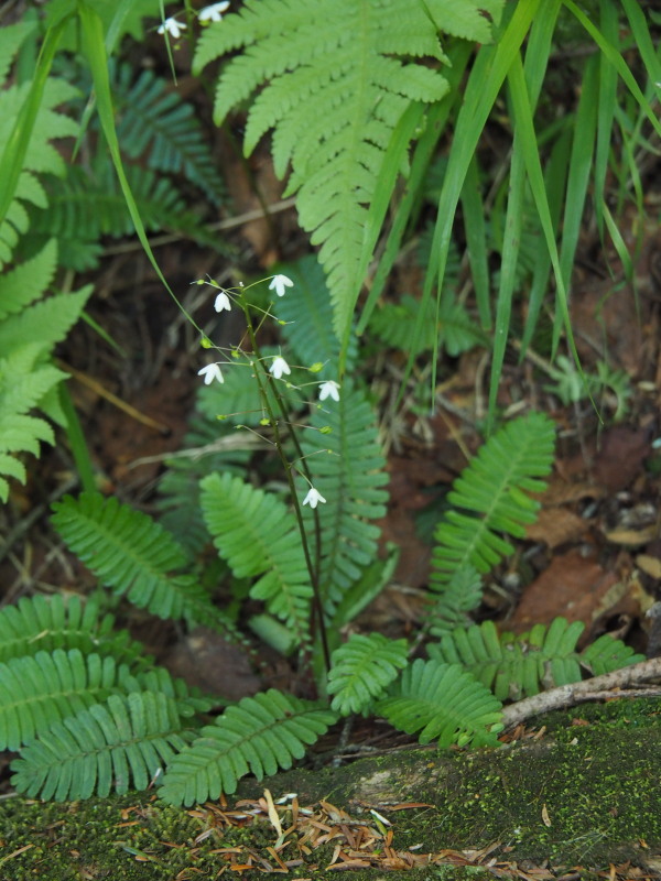 f0330321_12491230.jpg