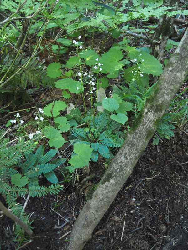 f0330321_1249387.jpg