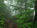 a0144027_11583844.jpg