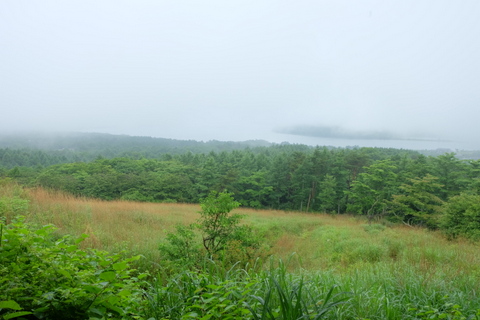 b0281732_1723983.jpg