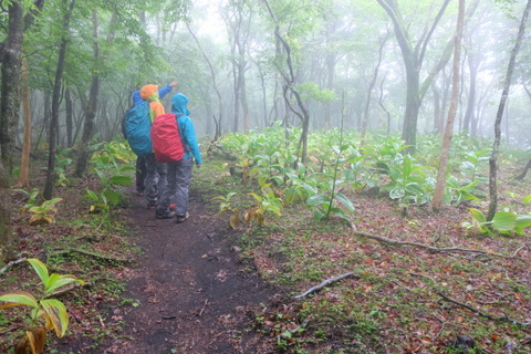 b0281732_17243846.jpg