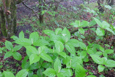b0281732_17252070.jpg