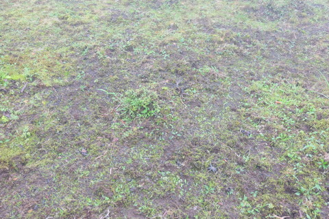 b0281732_17252864.jpg