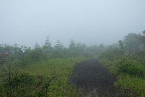 b0281732_17255139.jpg