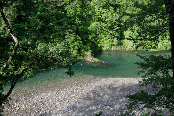 d0237340_20033846.gif