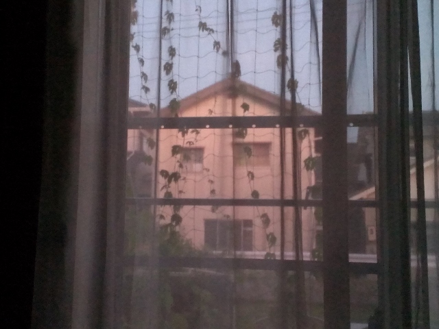 e0118846_1935611.jpg