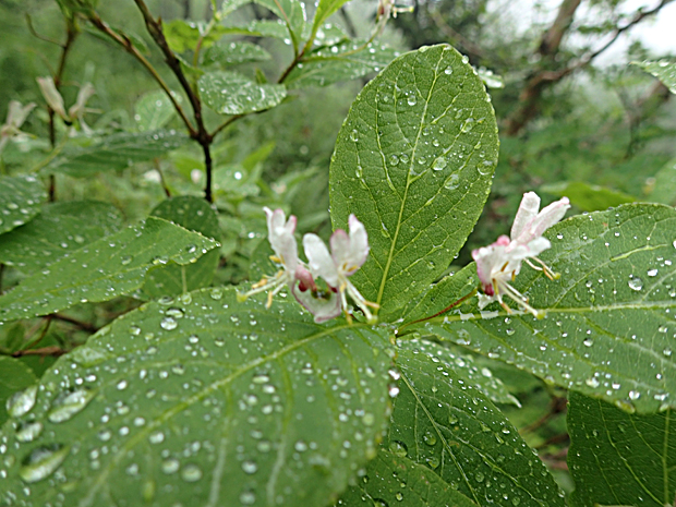 f0214649_20142056.jpg
