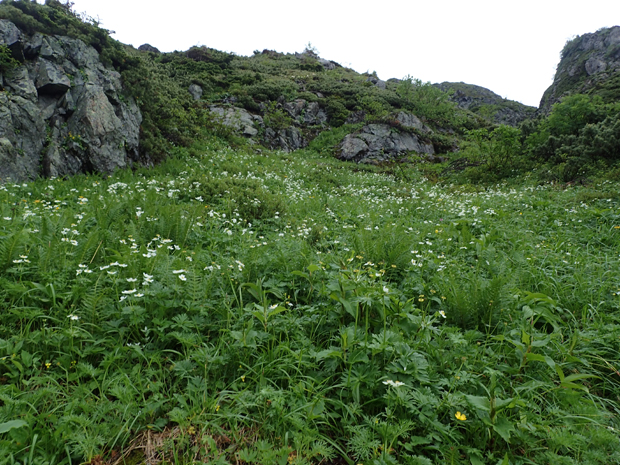 f0214649_2059267.jpg