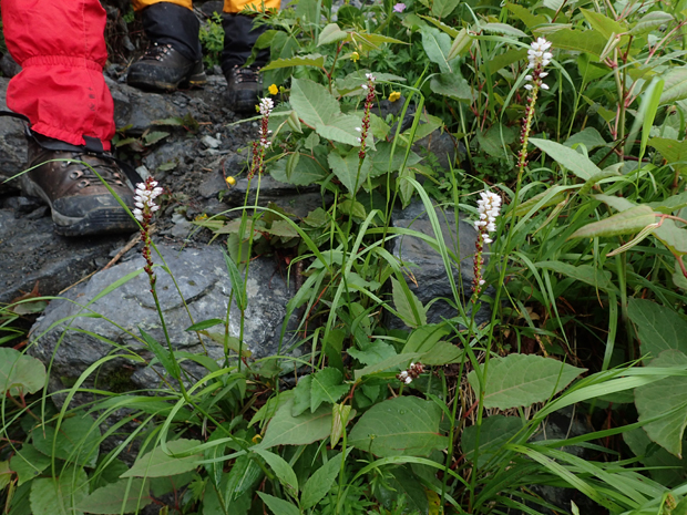 f0214649_2103560.jpg