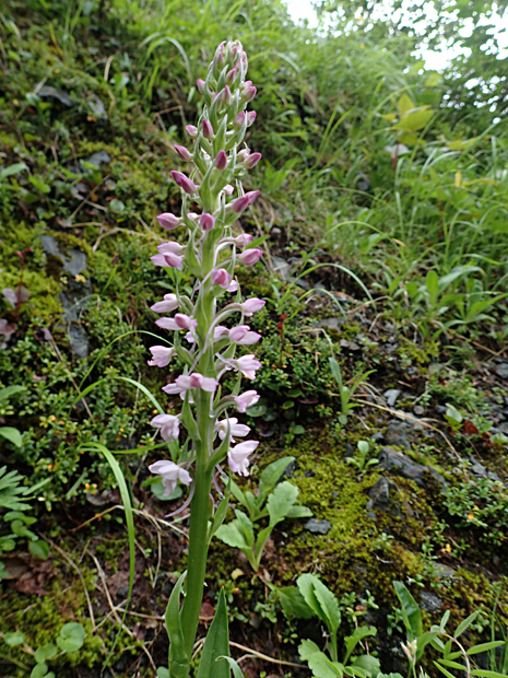 f0214649_2125995.jpg