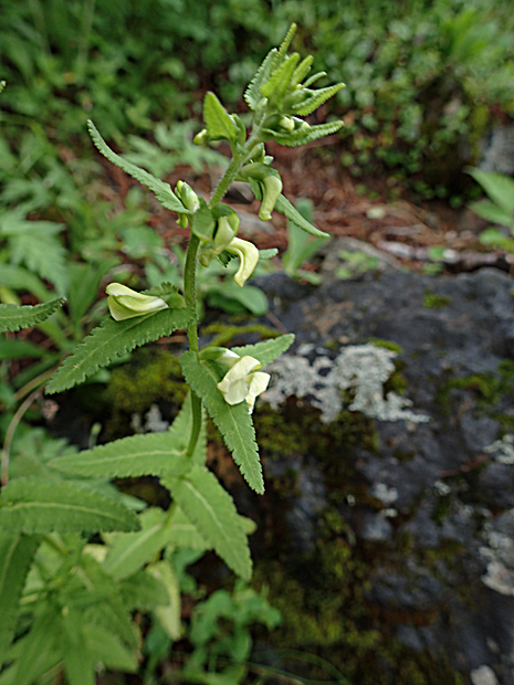 f0214649_2144696.jpg