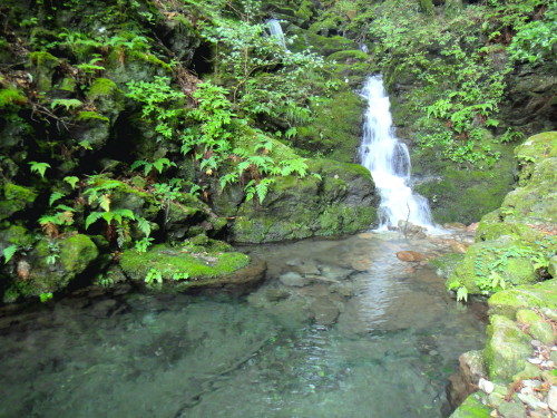 c0179351_20382789.jpg