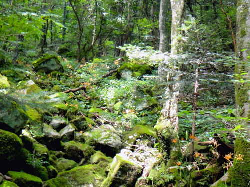 c0179351_20413047.jpg