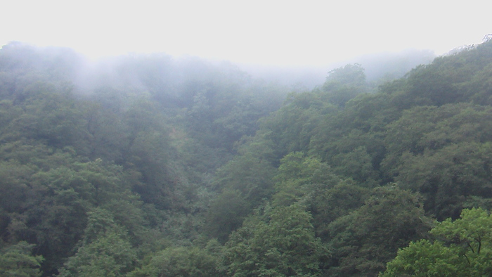 b0208961_17543258.jpg