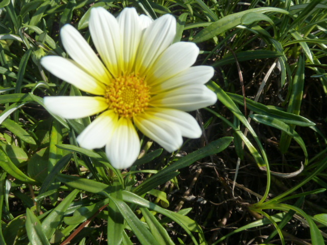 e0278968_21215379.jpg
