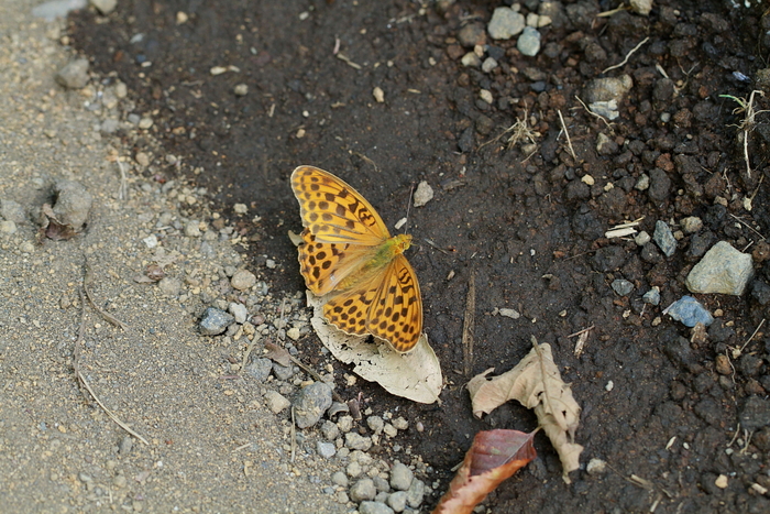 f0211980_22394461.jpg