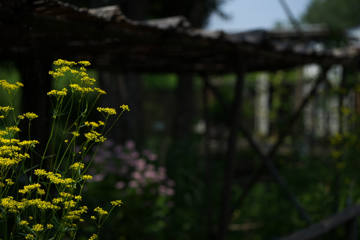 a0083081_17545847.jpg