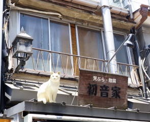 c0122791_10404160.jpg