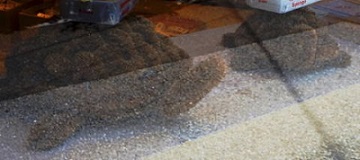 c0122791_10501259.jpg