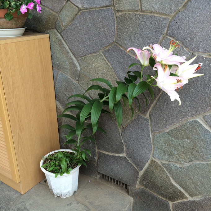 f0305995_1044327.jpg
