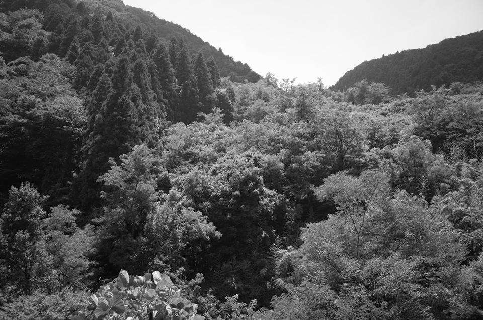 d0279705_15175280.jpg