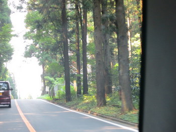 d0027711_1338103.jpg