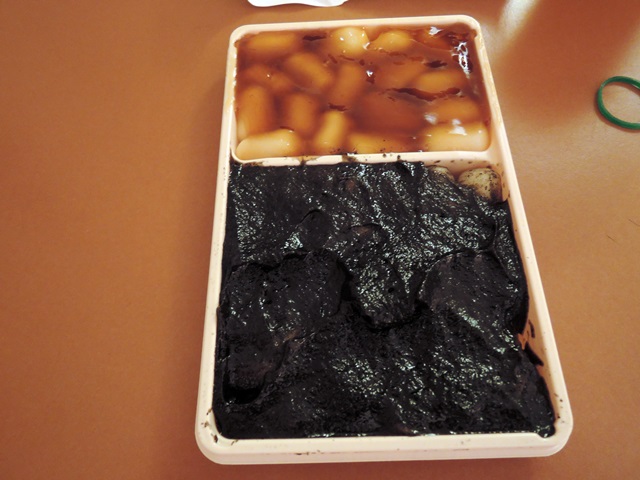 f0046614_11248.jpg