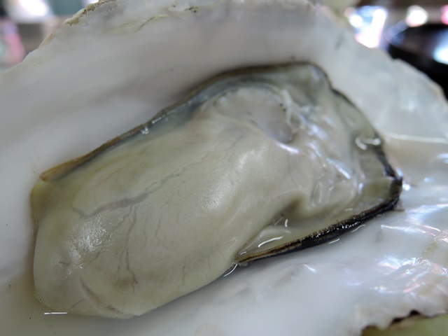 f0046614_1541390.jpg