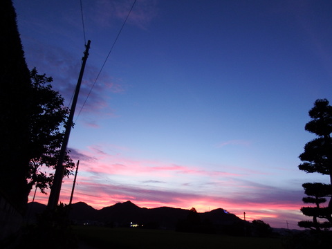 c0335229_2314364.jpg