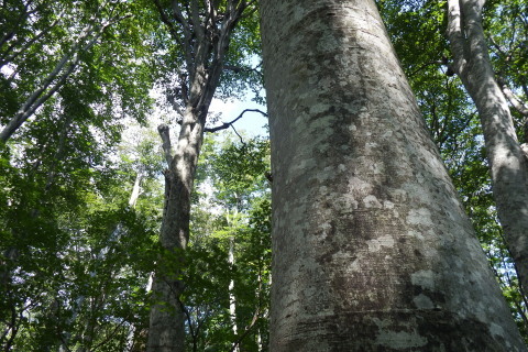 f0118332_00033090.jpg