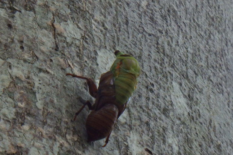 f0118332_00034018.jpg