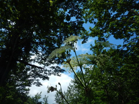f0118332_00121198.jpg