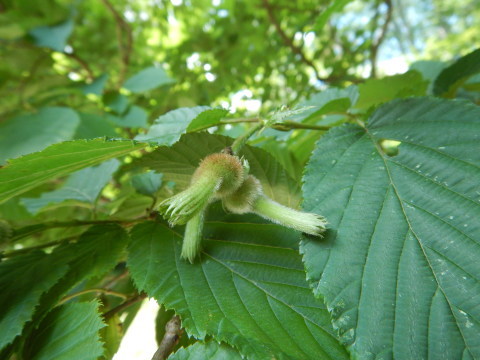 f0118332_00122272.jpg