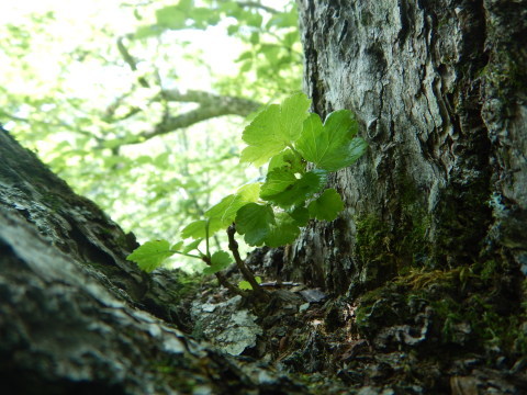 f0118332_00123885.jpg