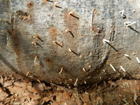 f0118332_00130738.jpg