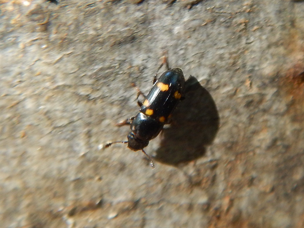 f0118332_00133784.jpg